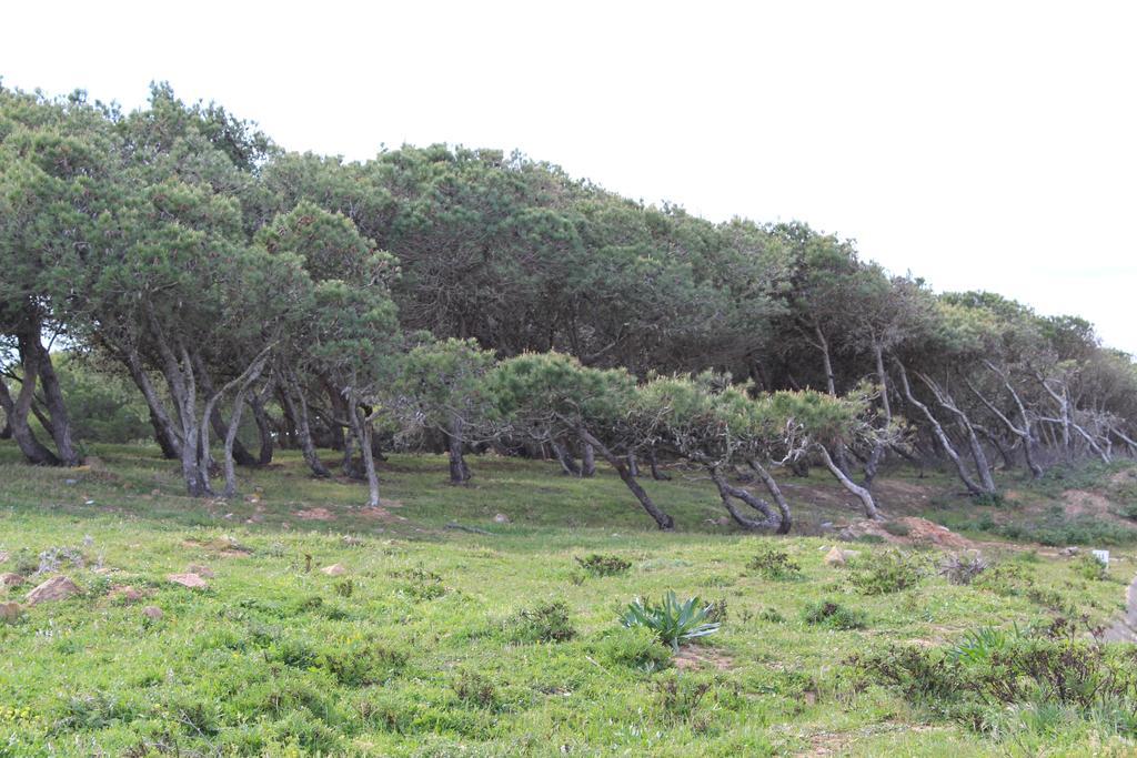 Villa Boa Vista Sul - Terra Da Eira - Raposeira *